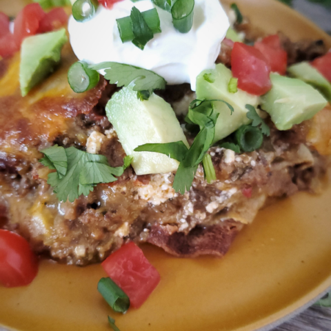 LOW CARB GROUND BEEF TACO RECIPES